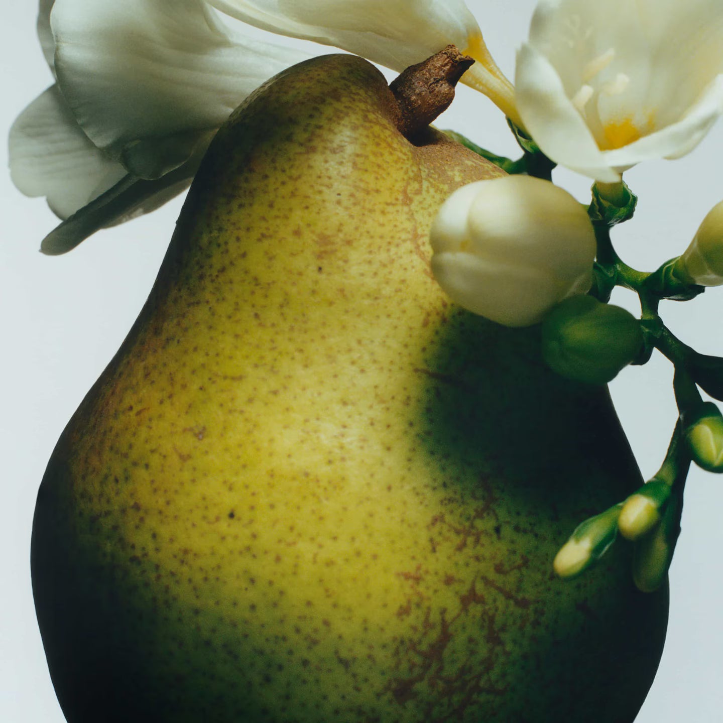 Jo Malone 200g-English pear and freesia